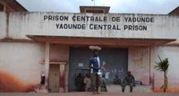 Amnesty report cites abuse of criminal justice in Cameroon