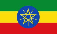 Determining the size of local councils in Ethiopia: The larger, the more democratic?