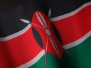 Devolution in Kenya: Senate oversight and the limits of “gubernatorial” resistance