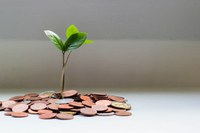Municipal finance and long-term sustainability