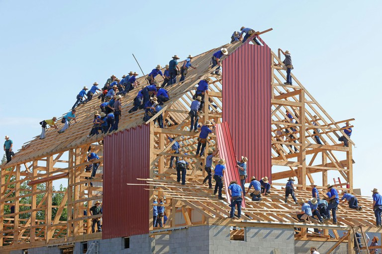 cooperation and coordination.jpg