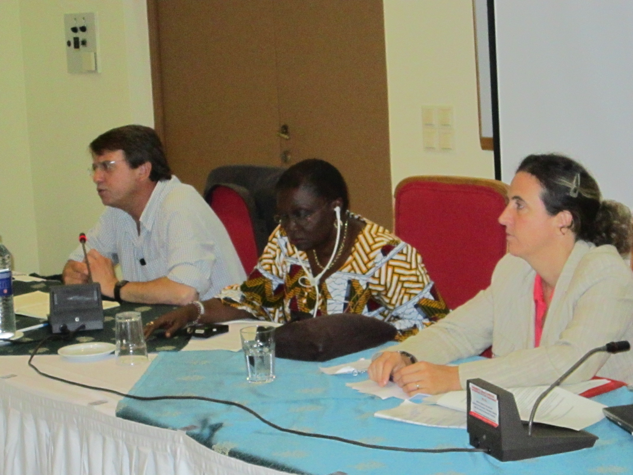 The panelist during this session.