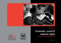 New Publication on Economic, Social and Cultural Rights