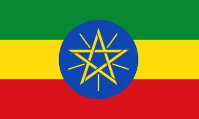 Determining the size of local councils in Ethiopia: The larger, the more democratic?