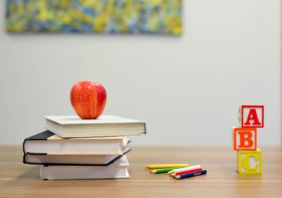 Can municipal councils fund councillor education and training?