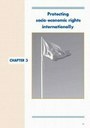 Chapter 3 - Protecting Socio-Economic Rights Internationally